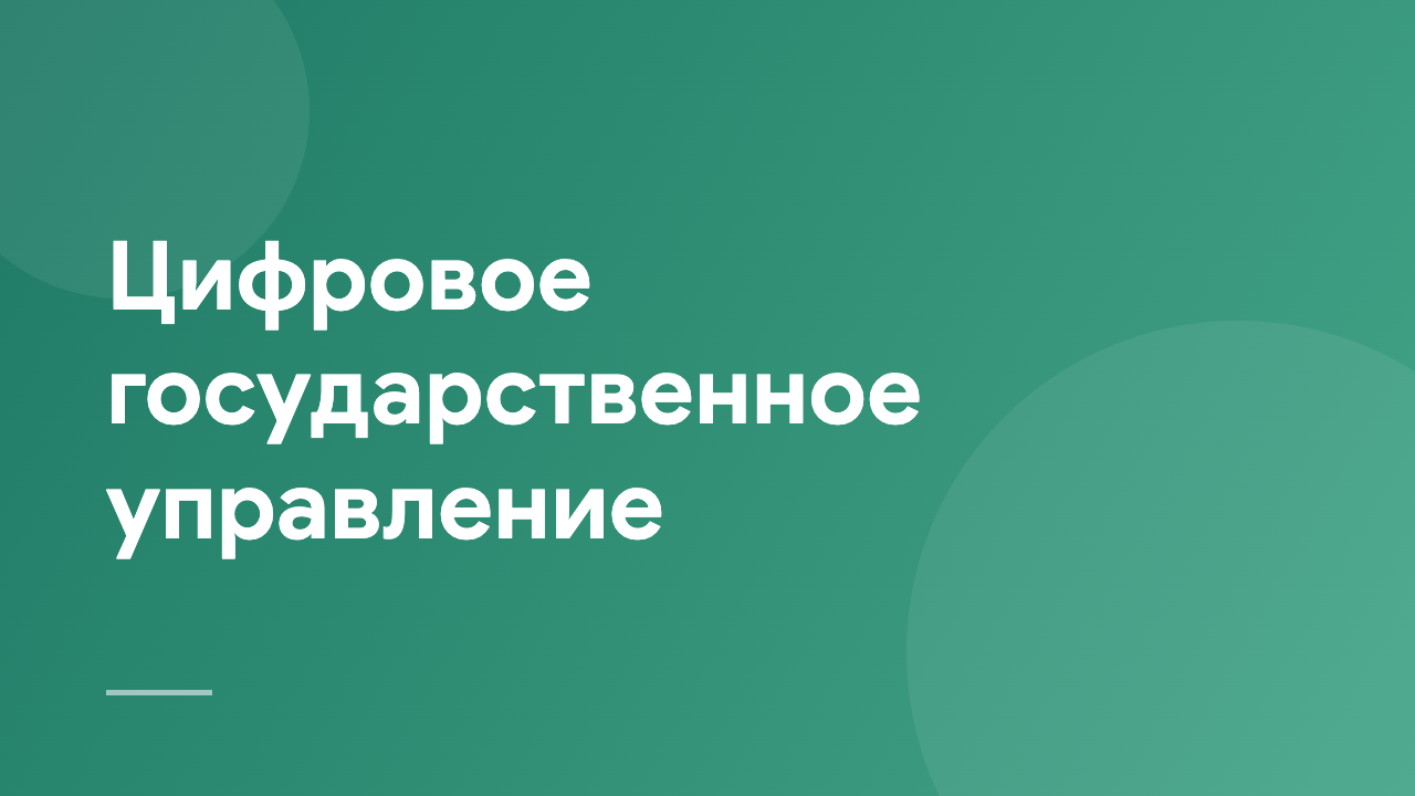 Цифровое государственное управление DPA_RU
