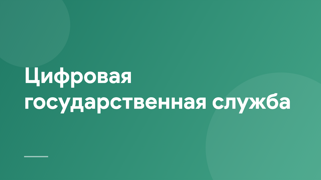 Цифровая государственная служба PPeG_RU